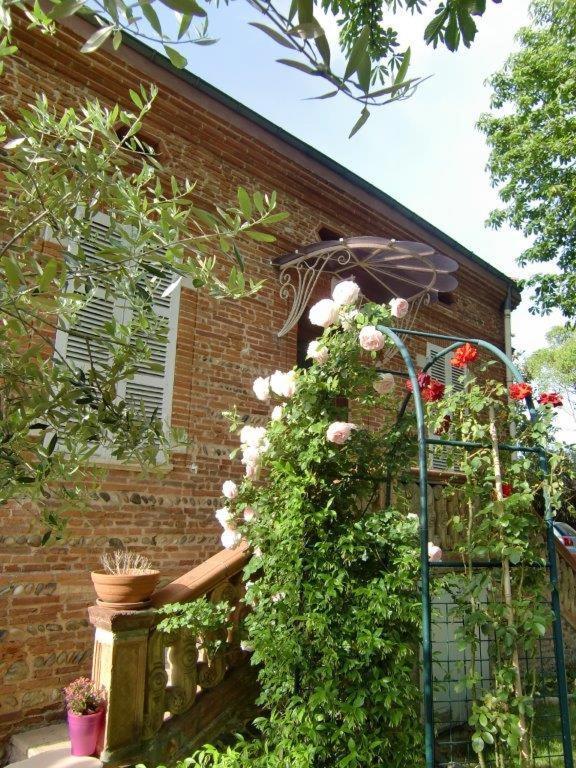 La Villa Des Violettes Toulouse Exterior foto