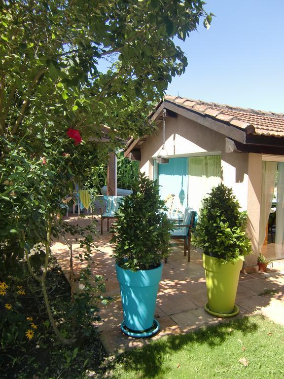 La Villa Des Violettes Toulouse Exterior foto