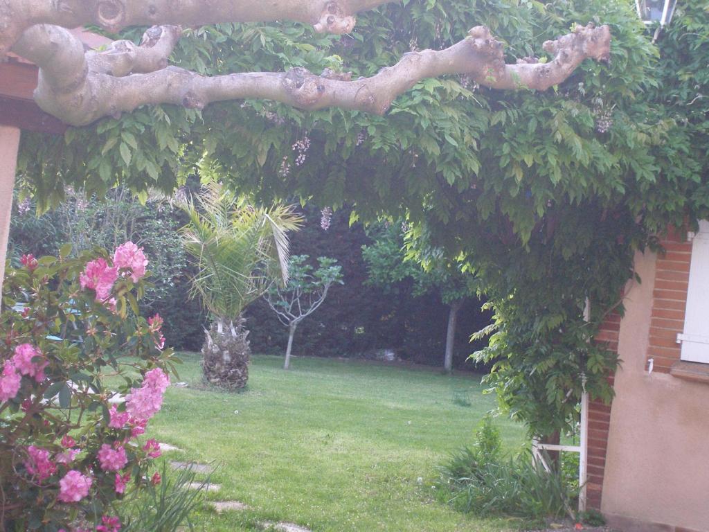 La Villa Des Violettes Toulouse Quarto foto