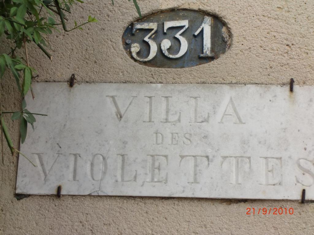 La Villa Des Violettes Toulouse Exterior foto